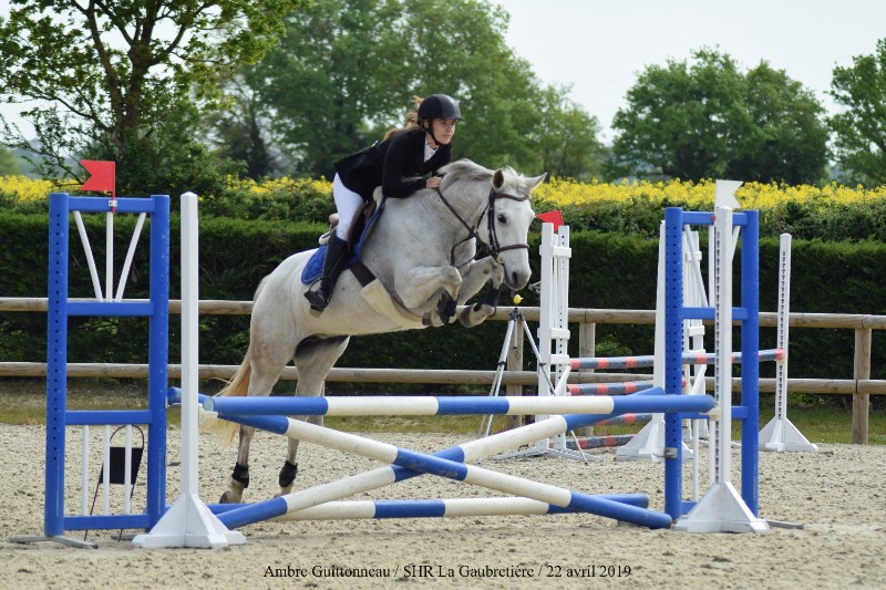 Concours d'équitation CSO TREC CCE ouvert à partir du galop 2 -  Saint-Christophe-du-Bois, Cholet