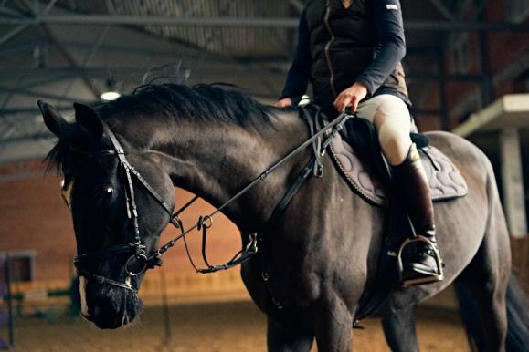 stage équitation perfectionnement