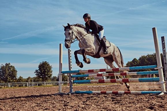 cours équitation en groupe