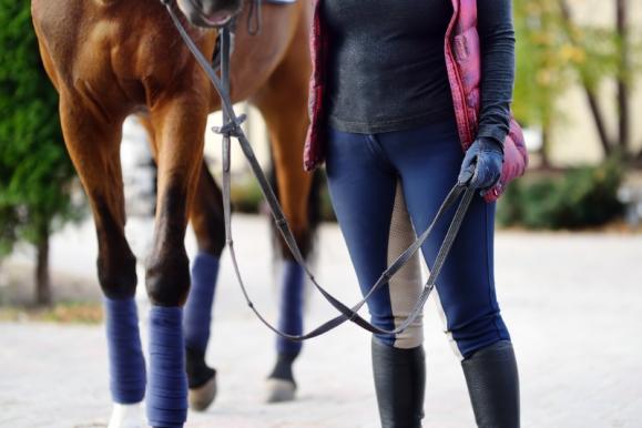 cours équitation pour adultes