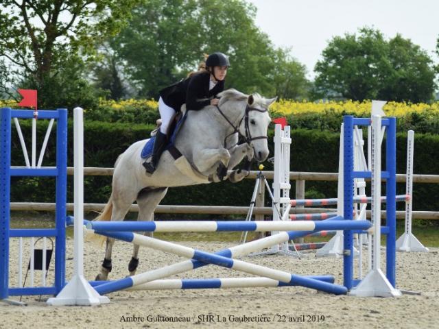 Concours d'équitation CSO TREC CCE  ouvert à partir du galop 2  