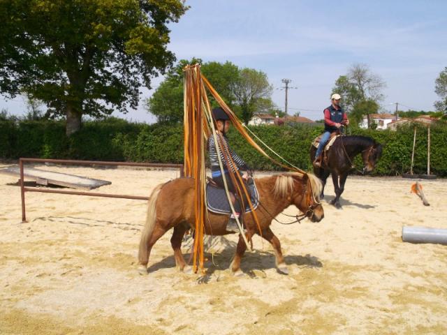 Cours équitation pour enfants à partir de 6 ans et  jusqu'à l'âge adulte