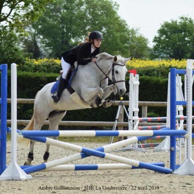 Concours d'équitation CSO TREC CCE  ouvert à partir du galop 2  