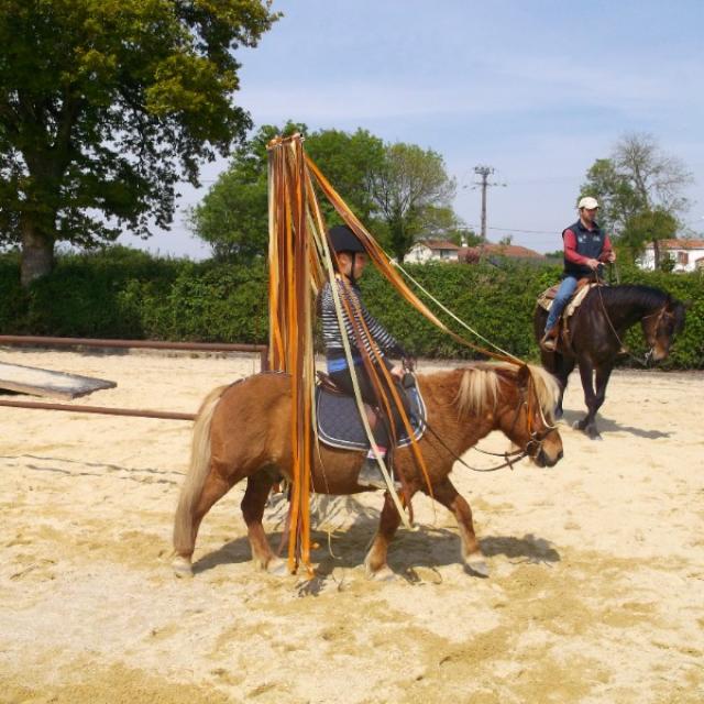 Cours équitation pour enfants à partir de 6 ans et  jusqu'à l'âge adulte