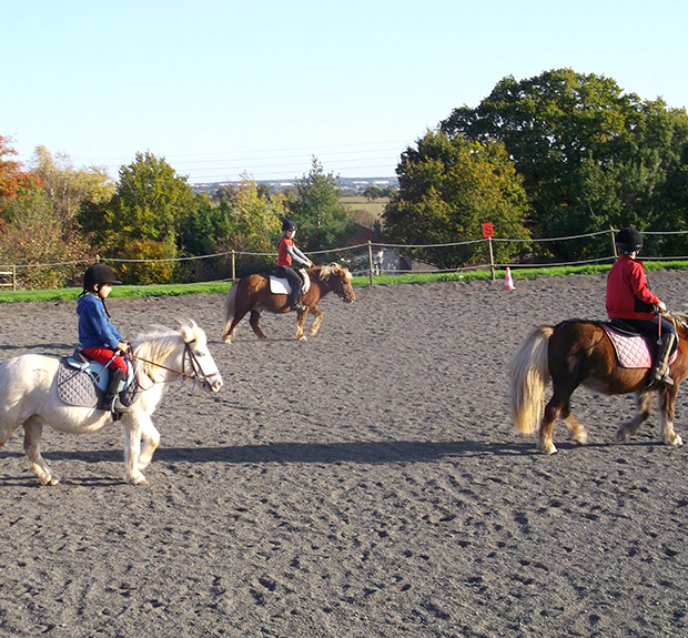 cours équitation enfant