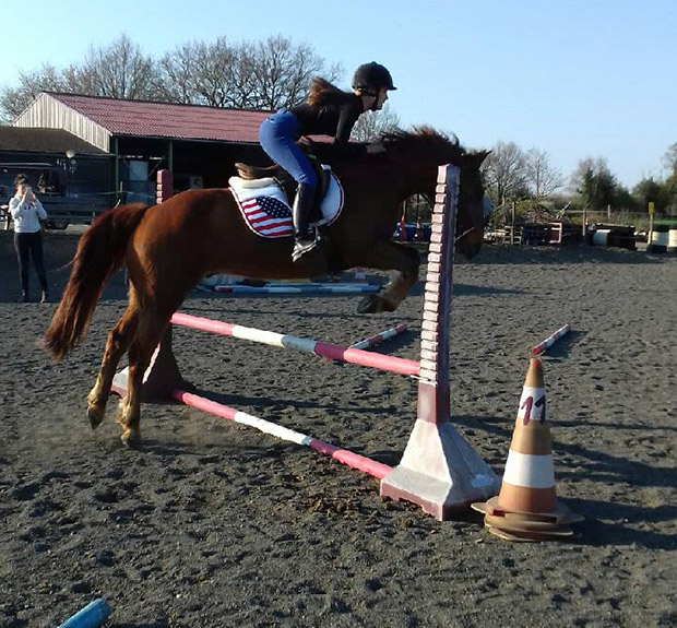 stage équitation